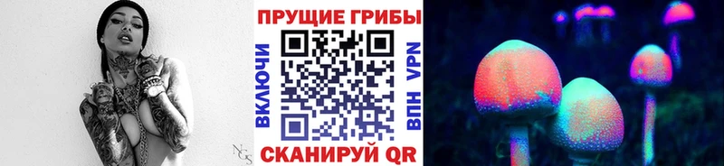 купить закладку  Отрадная  Псилоцибиновые грибы GOLDEN TEACHER 
